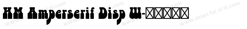 HM Amperserif Disp W字体转换